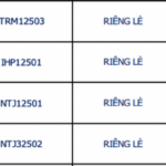 What Does the Surge in Bond Yields Reveal?