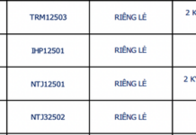 What Does the Surge in Bond Yields Reveal?