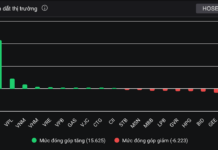 Vietnam’s First Enterprise Surpasses $43 Billion in Market Capitalization