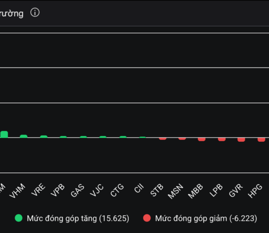 Vietnam’s First Enterprise Surpasses $43 Billion in Market Capitalization