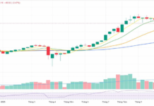 Market Pressures Mount: What Lies Ahead for Stocks Next Week?