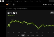 Today’s Crypto Market, November 19: Investors on Edge