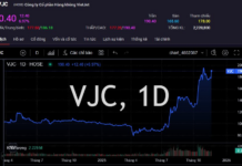 The Joy of Billionaire Nguyen Thi Phuong Thao on Vietnam Teachers’ Day