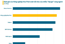 The New Ace of Mr. Trần Đình Long: A Billion-Dollar Agriculture Company Valued Higher Than Dabaco and BAF Vietnam