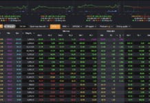 Stocks Rebound in Green, Billionaire Nguyen Phuong Thao’s Airline Shares Hit Daily Limit