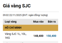 Gold Bar and Ring Prices Rebound on November 22nd Morning