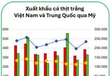 Top 2 Seafood Stocks with Superior Advantages: Agriseco Experts Predict Sustained High Growth Ahead