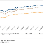 A Phenomenon That Troubles Many Billionaires, Yet Brings Quiet Joy to Steel Tycoon Trần Đình Long