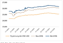 Steel Tycoon Tran Dinh Long’s Secret Joy Amid Billionaires’ Headache
