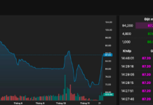 Billionaire Pham Nhat Vuong’s Stock Surges to Daily Limit, Market Cap Tops $6.3 Billion
