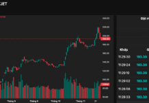 Vietjet Shares Plunge as Billionaire Nguyen Thi Phuong Thao’s Holdings Hit Floor