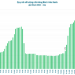 MWG CEO: Bach Hoa Xanh to Profit Over 600 Billion VND by 2025, Aiming for Feasible Cumulative Loss Elimination