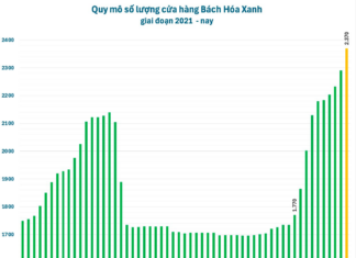 MWG CEO: Bach Hoa Xanh to Profit Over 600 Billion VND by 2025, Aiming for Feasible Cumulative Loss Elimination