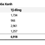 Strategic Roadmap to Eliminate Accumulated Losses, Paving the Way for Bach Hoa Xanh’s IPO