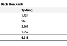 Strategic Roadmap to Eliminate Accumulated Losses, Paving the Way for Bach Hoa Xanh’s IPO