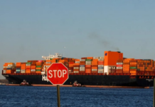 Asian Powerhouse Defies Global Trend, Commits to Russian Energy Despite Shifting Dynamics