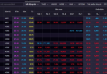 Real Estate Stock Defies Odds, Surges to Limit Up Amid VN-Index Plunge