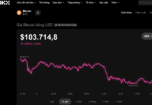 Today’s Crypto Market, November 4th: Heavy Losses for Many Investors