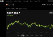 Today’s Crypto Market, November 6: Bridging the Gap Between Stablecoins and Digital Assets