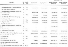 A Publicly Traded Company Generating Daily Revenue from Pickleball Courts