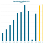 The Iron Fists of Nguyen Duc Tai