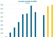 The Iron Fists of Nguyen Duc Tai