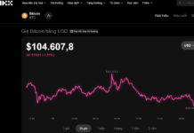 Today’s Crypto Market, November 11: Bitcoin Price Plunges Unexpectedly—What’s Happening?