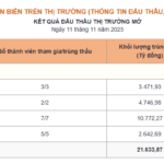 Central Bank’s Latest Move in the Currency Market