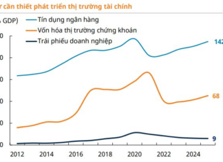 Unlocking Vietnam’s Stock Market Potential: Key Drivers Fueling Continued Growth