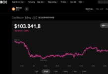 Today’s Crypto Market, November 13: Bitcoin Plunges as Mysterious Asset Surges