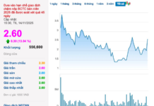 Steel Tycoon Rival to Hoa Phat Makes a Surprising Comeback