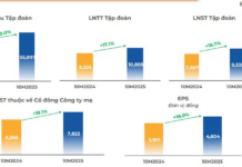FPT Reports 19% Net Profit Growth in 10 Months, Shareholders Set to Receive Over VND 1.7 Trillion in Dividends