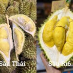 Which is Sweeter and Creamier: Thai Lychee or Ri6 Lychee?
