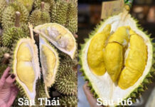 Which is Sweeter and Creamier: Thai Lychee or Ri6 Lychee?