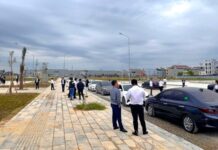 Unusual Developments in Once-Hot Land Plots in Dong Nai, Hung Yen, Bac Ninh, and Ninh Binh