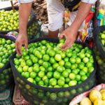 Exotic Vietnamese Fruit Sold Cheap in Local Markets Becomes a Luxury Item in the West, Coveted by Oil Tycoons as a Gourmet Delicacy