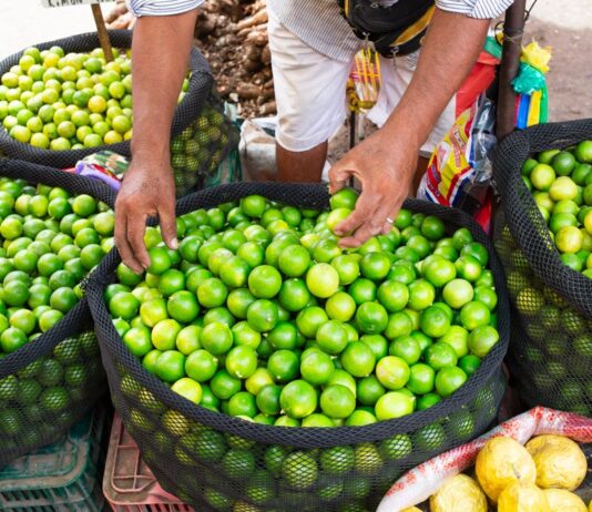 Exotic Vietnamese Fruit Sold Cheap in Local Markets Becomes a Luxury Item in the West, Coveted by Oil Tycoons as a Gourmet Delicacy