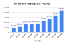 Unveiling Vingroup’s $43 Billion Empire: $5.3B in Under-Construction Real Estate, $760M in VinFast Projects, and $147M Invested in VinEnergo & VinSpeed