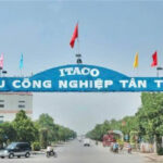 Court Halts Bankruptcy Proceedings for Tan Tao