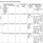 Who’s Taking the Reins? TC Capital Vietnam’s 100% Equity Swiftly Changes Hands