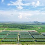 Thaco Agri Seeks Special Mechanisms for Agricultural Projects in Gia Lai