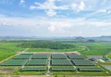 Thaco Agri Seeks Special Mechanisms for Agricultural Projects in Gia Lai