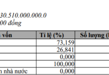 Thaco Reveals Over 100 Foreign Investors Holding Nearly 27% of Its Capital for the First Time