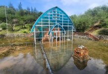 How Did the 1,200-Year-Old Cham Tower Fare After Criticism from Hue City’s Vice Chairman?