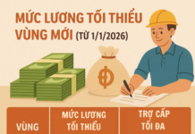 Maximize Your Benefits: Up to 320 Million VND Available for All Workers Starting 2026