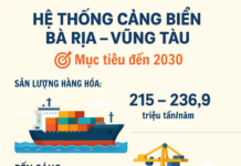 Historic Turning Point: 82 Trillion VND Propels Vietnam’s Largest Deep-Sea Port to Asia’s Top Tier
