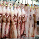 Pork Prices Plummet: A Sharp Decline in Hog Rates