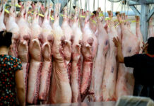 Pork Prices Plummet: A Sharp Decline in Hog Rates