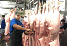 Ho Chi Minh City Pilots Pork Trading Platform in December