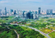Prime Real Estate Alert: Three Premium Land Plots Up for Auction in Thu Thiem